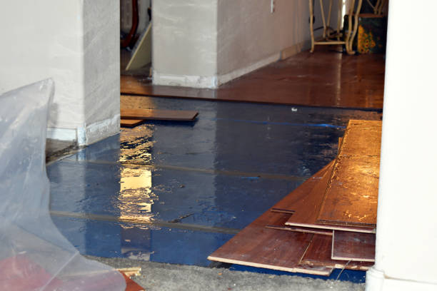 Professional Sewage Cleanup technician working in Girard, IL
